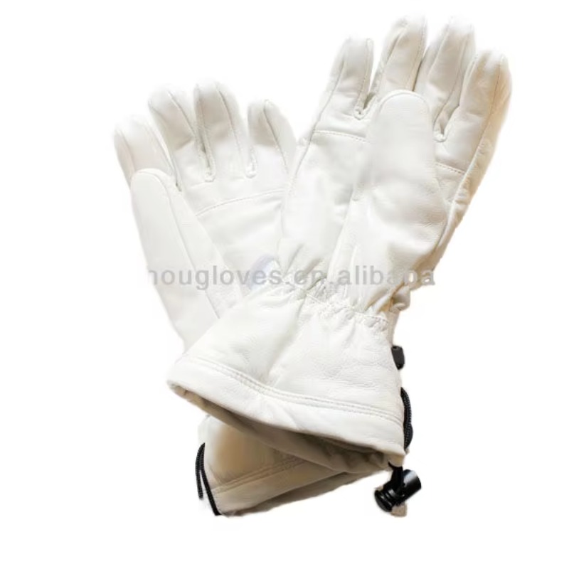 Мужские и женские лыжные перча – обзор и цена Ski Glove Waterproof